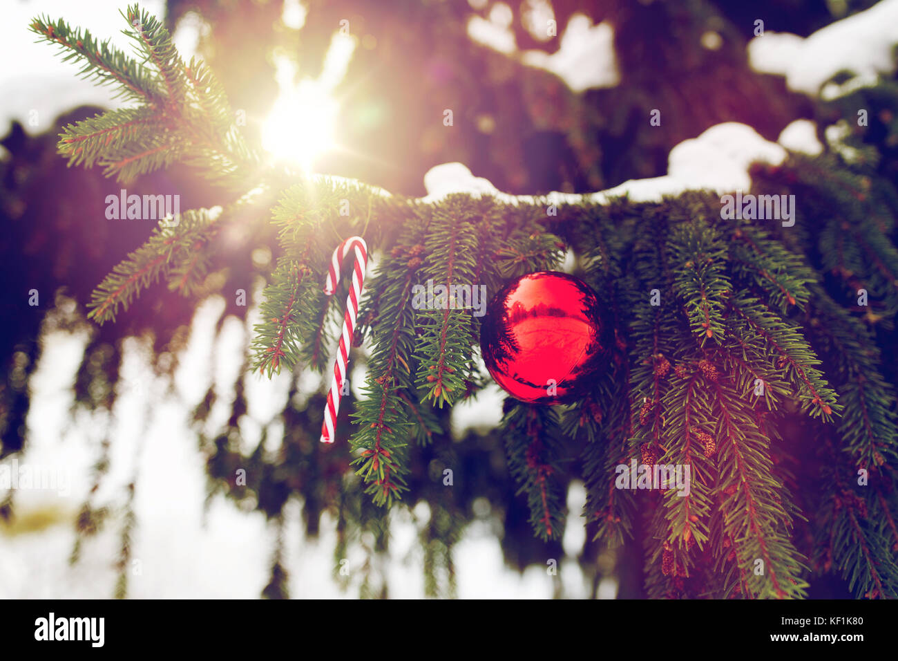 candy cane and christmas ball on fir tree branch Stock Photo - Alamy