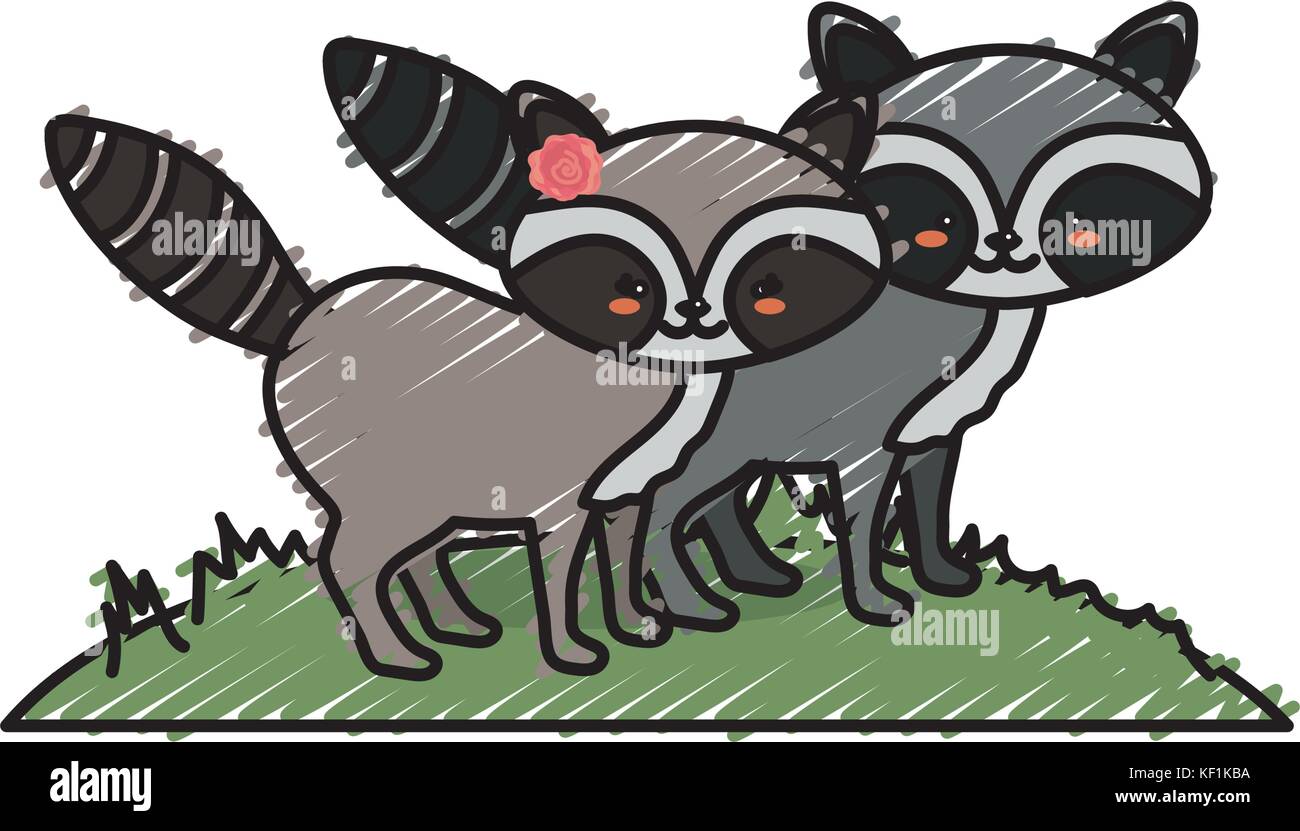 cute raccoon animal couple together Stock Vector Image & Art - Alamy