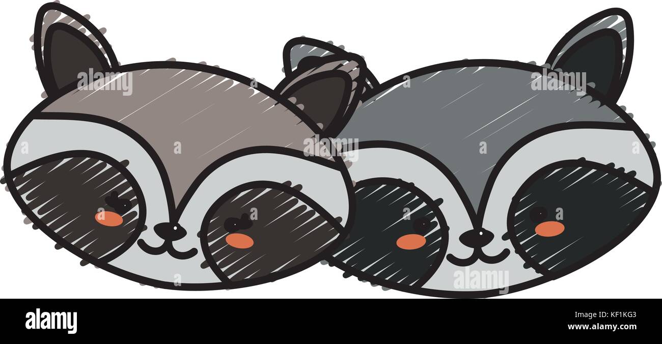 cute raccoon head animal couple together Stock Vector Image & Art - Alamy