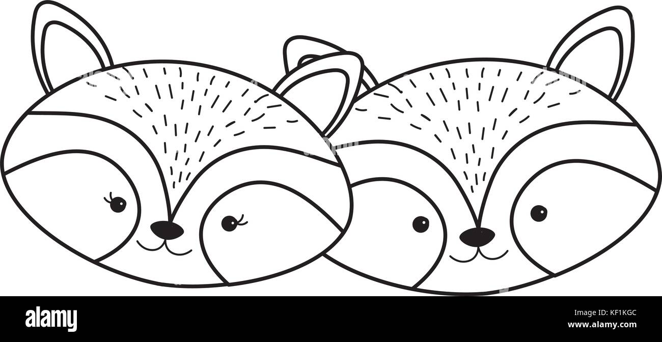 line cute raccoon head animal couple together Stock Vector Image & Art ...