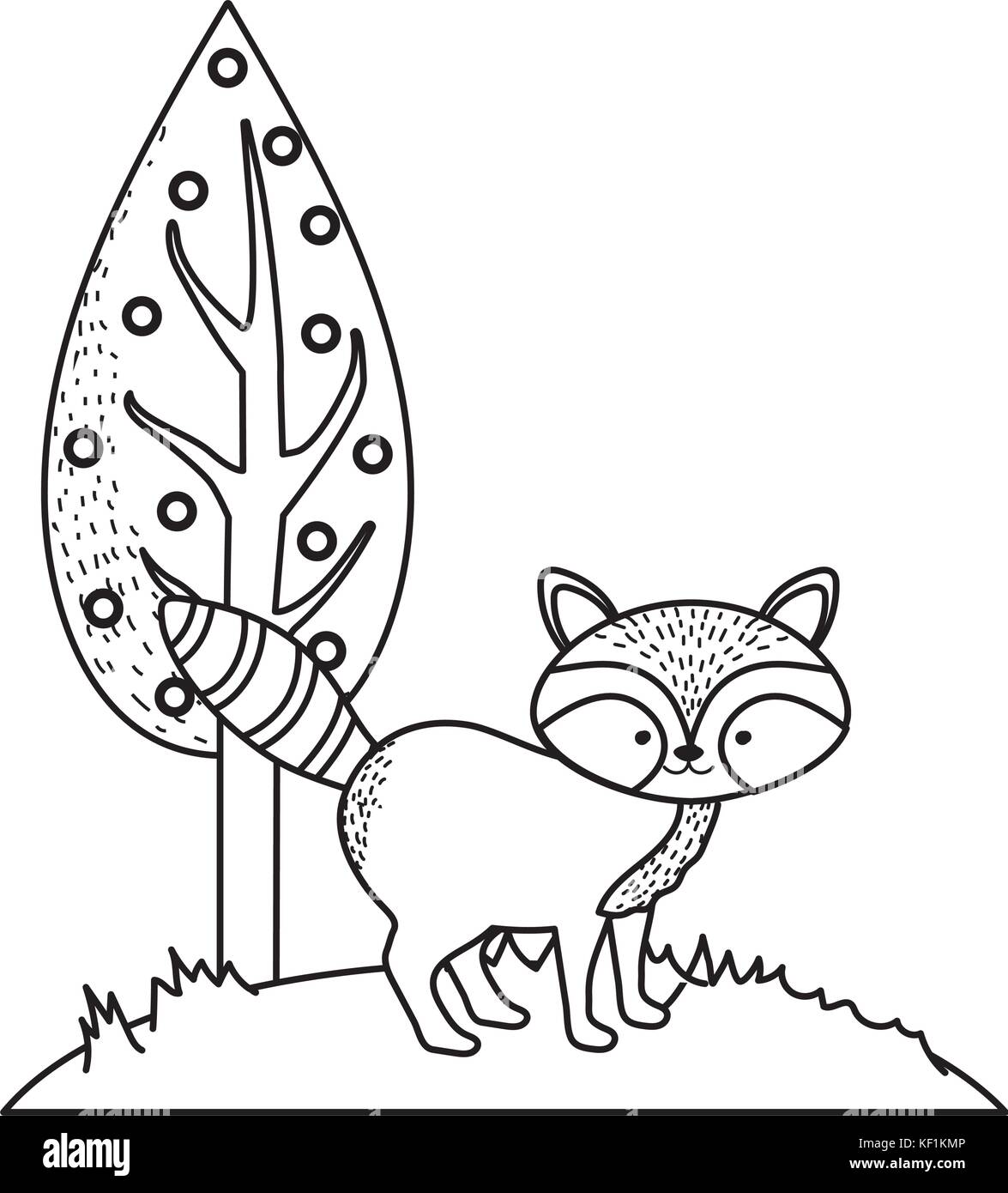 line cute raccoon wild animal next to tree Stock Vector Image & Art - Alamy