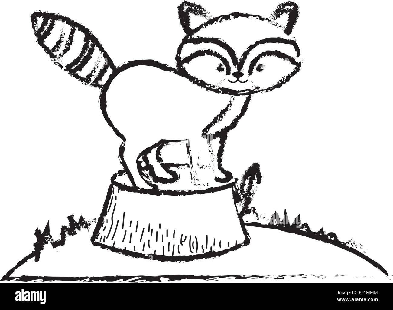 Raccoon tree Black and White Stock Photos & Images - Alamy