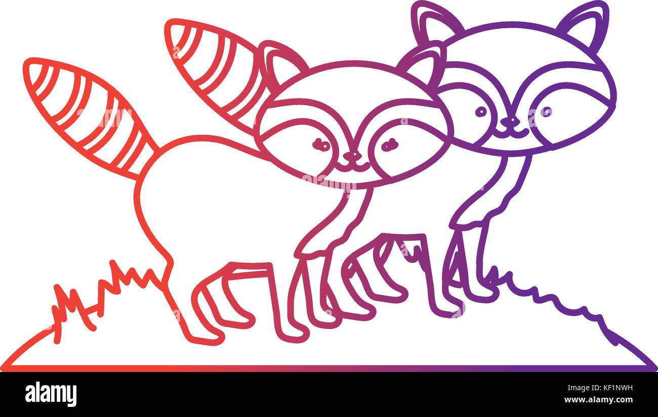 line cute raccoon animal couple together Stock Vector Image & Art - Alamy