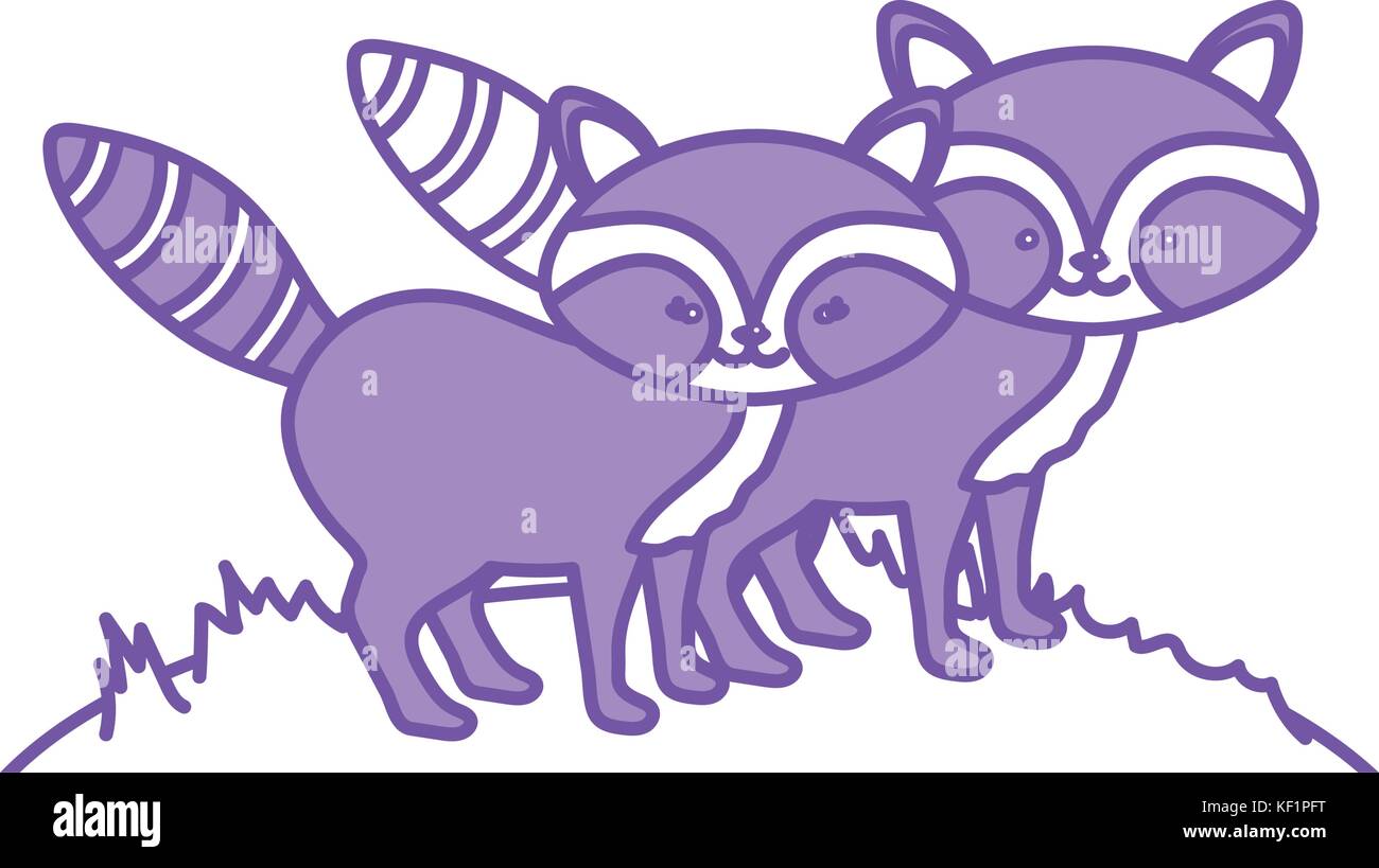 contour cute raccoon animal couple together Stock Vector Image & Art ...
