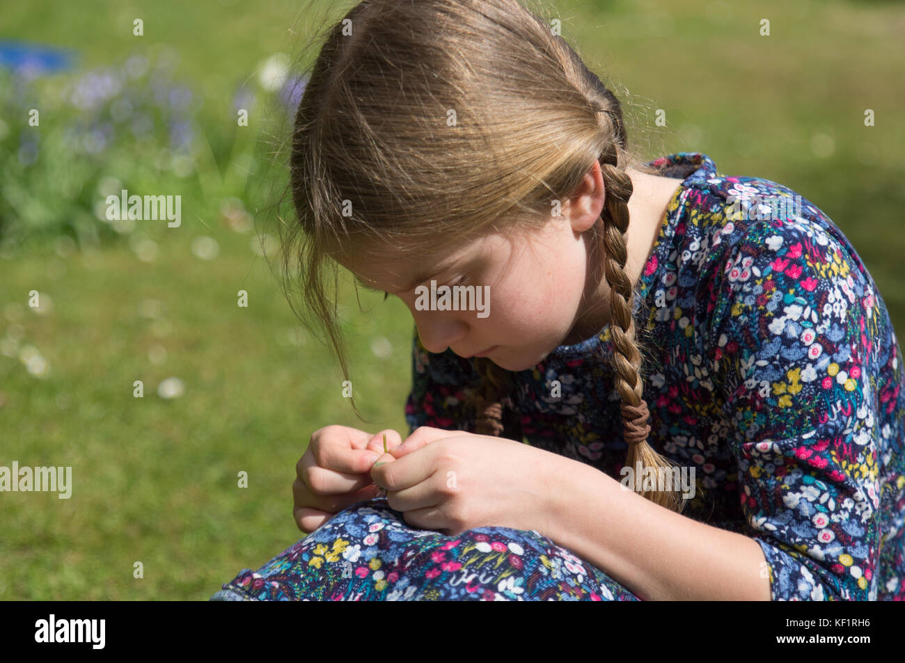 Girl concentrating on daisy chain Stock Photo