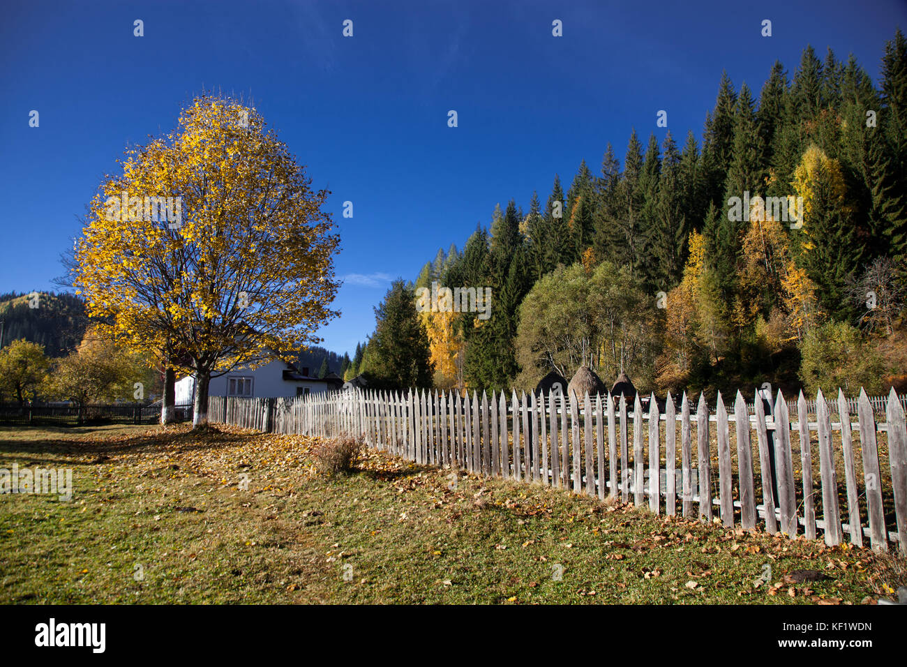 Cartoon autumn farm landscape hi-res stock photography and images - Alamy