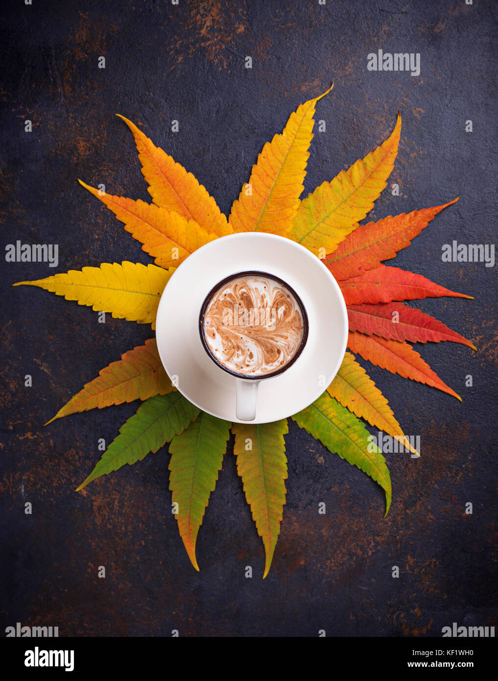 Autumn background with leaves and cup of coffee Stock Photo - Alamy