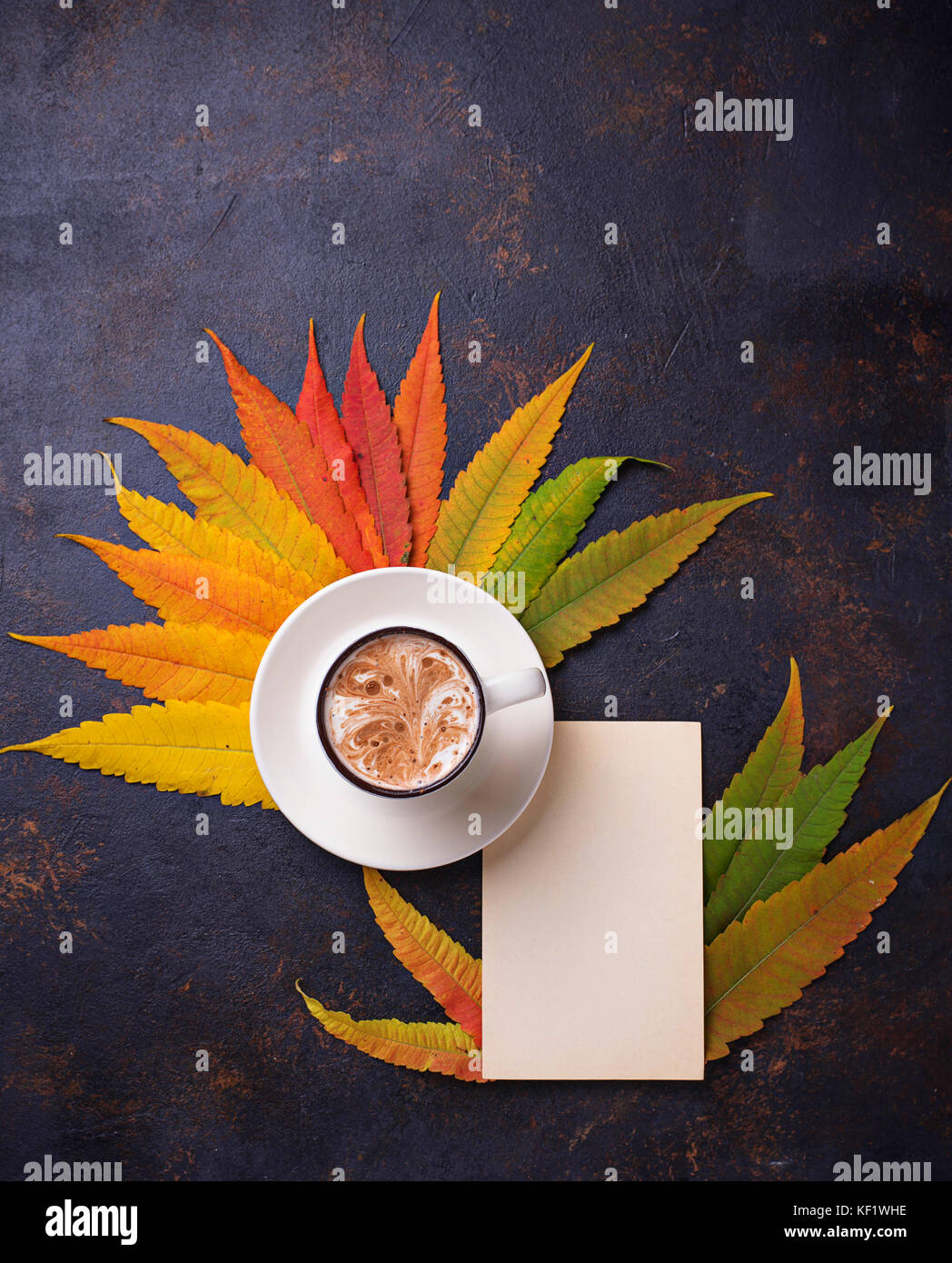 Autumn background with leaves and cup of coffee Stock Photo - Alamy