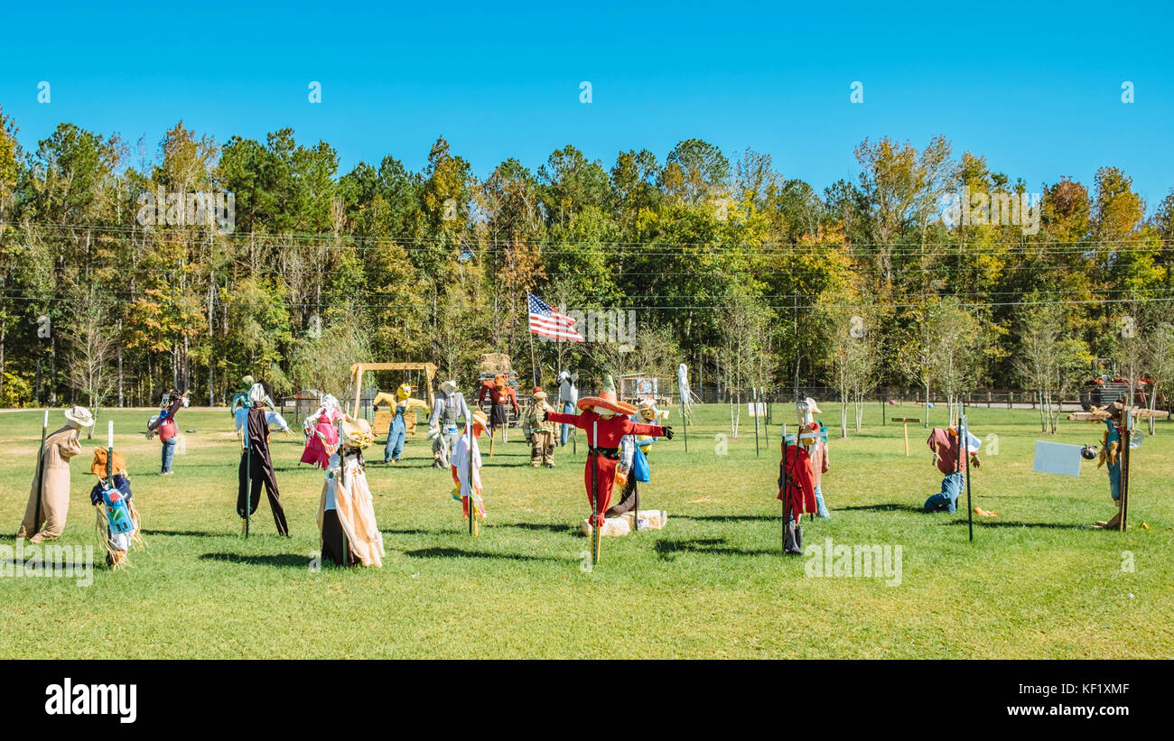 Field filled with hanging scarecrows on display for the American Halloween holiday in rural Alabama, USA. Stock Photo