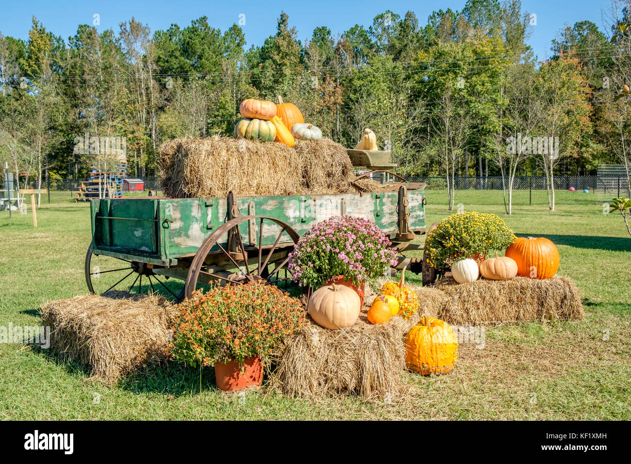 Old farm wagon decorated with pumpkins, gourds, hay bales and flowers for the American Halloween holiday, in rural Alabama USA. Stock Photo