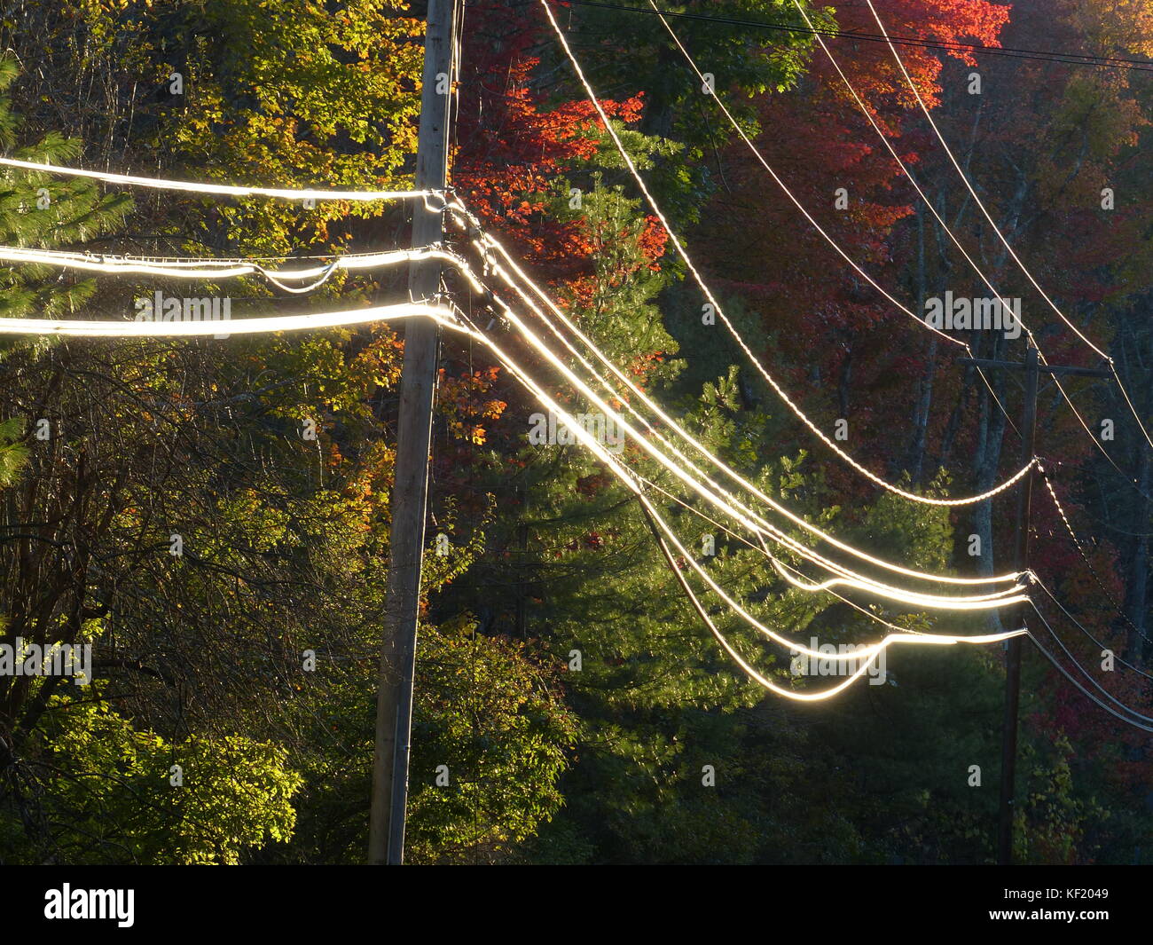 Low overhead wires hires stock photography and images Alamy