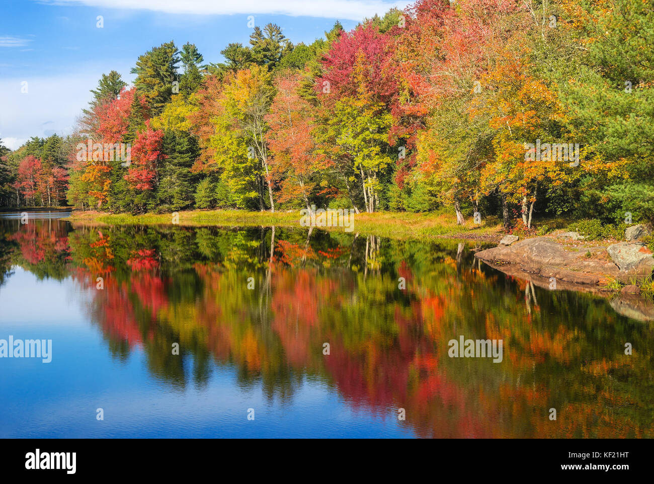 Colorful foliage reflections in pond water on a sunny autumn day in New ...