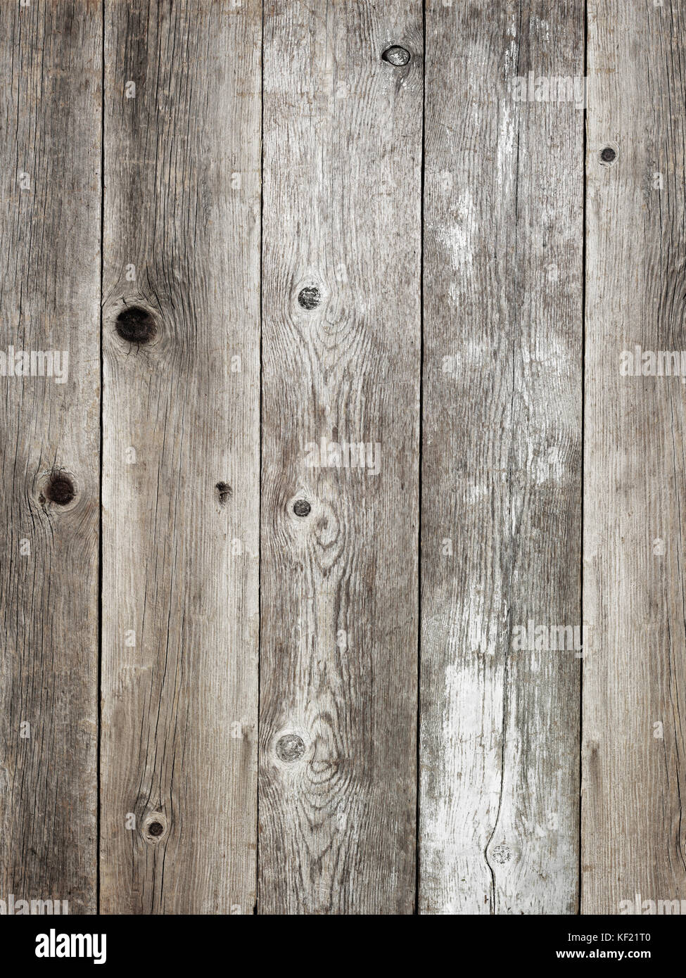 Rustic Silver Grey Weathered Barn Wood Board Background Showing