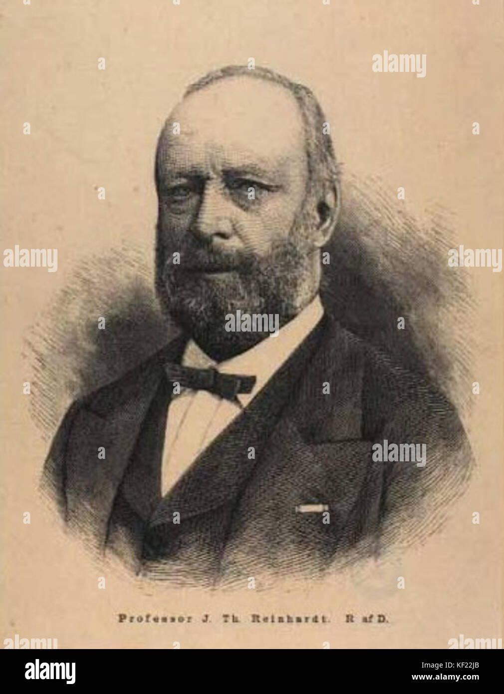 Johannes Theodor Reinhardt 01 Stock Photo Alamy