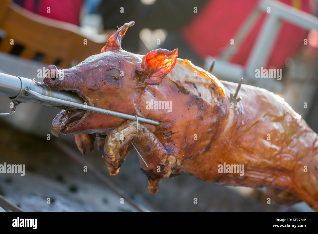 Grilling pig in the open Stock Photo