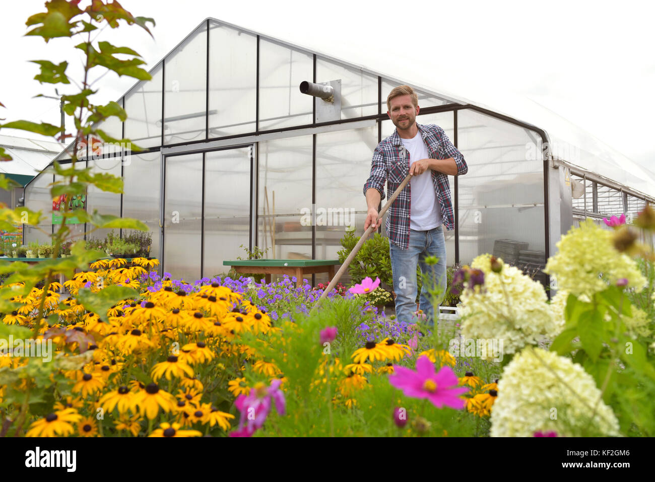 Portrait of content gardener working in front of greenhouse Stock Photo ...