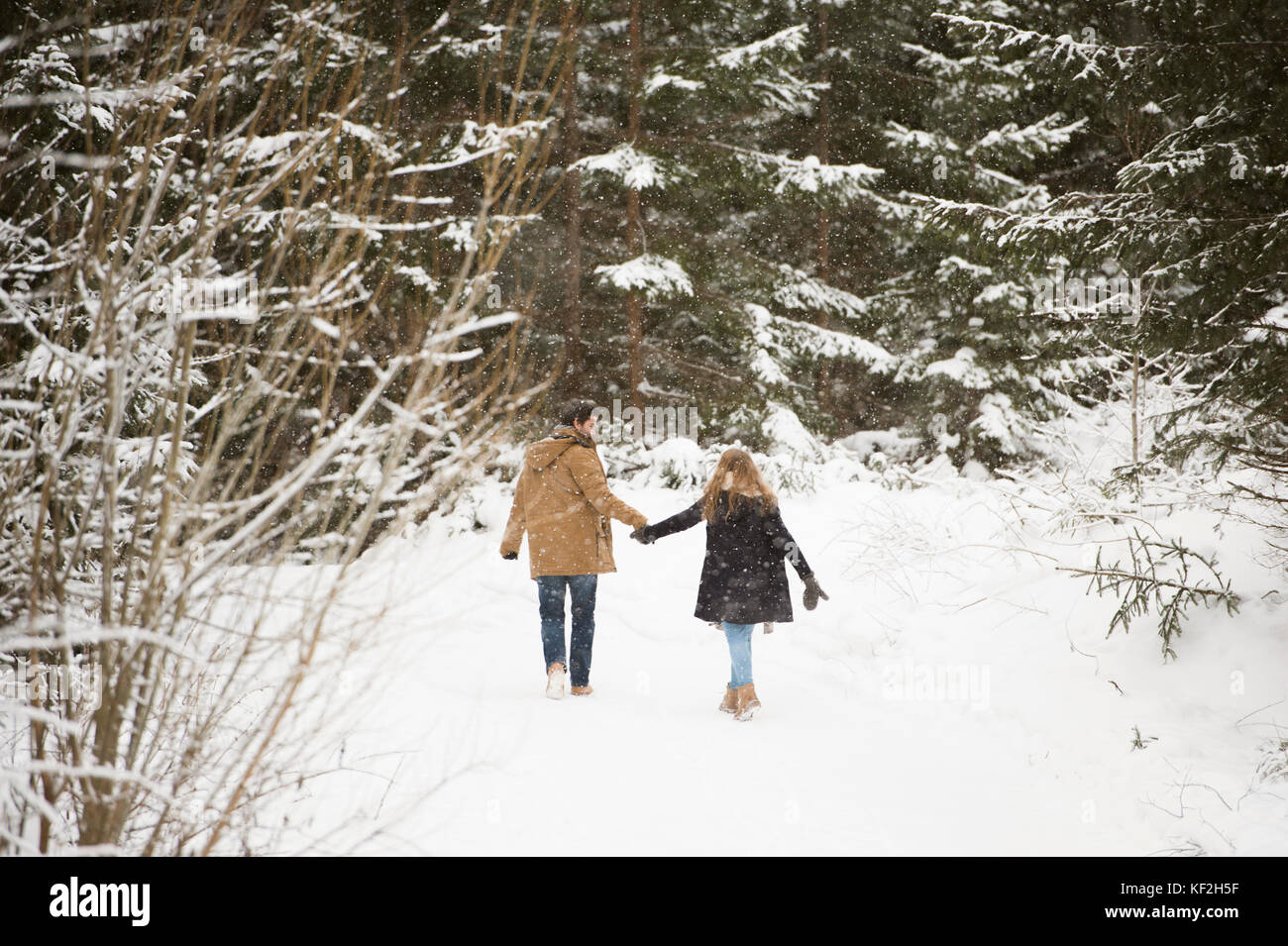 Back view of young couple walking hand in hand in winter landscape ...
