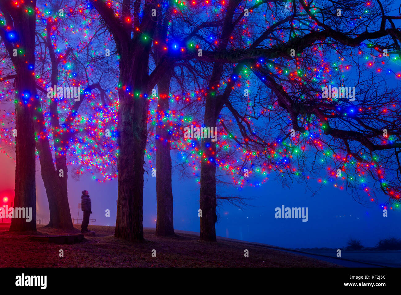 Christmas lights at Elm Grove, English Bay, Vancouver, British Columbia