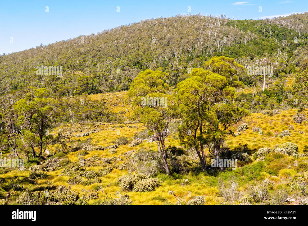 The Dove Canyon Trail is a superb hike in the Cradle MountainLake St
