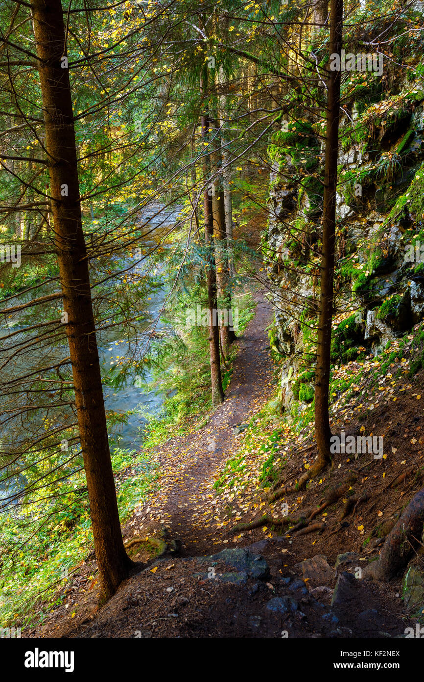 Autumn in park, landscape with fall colored trees and blue sky in sunny ...