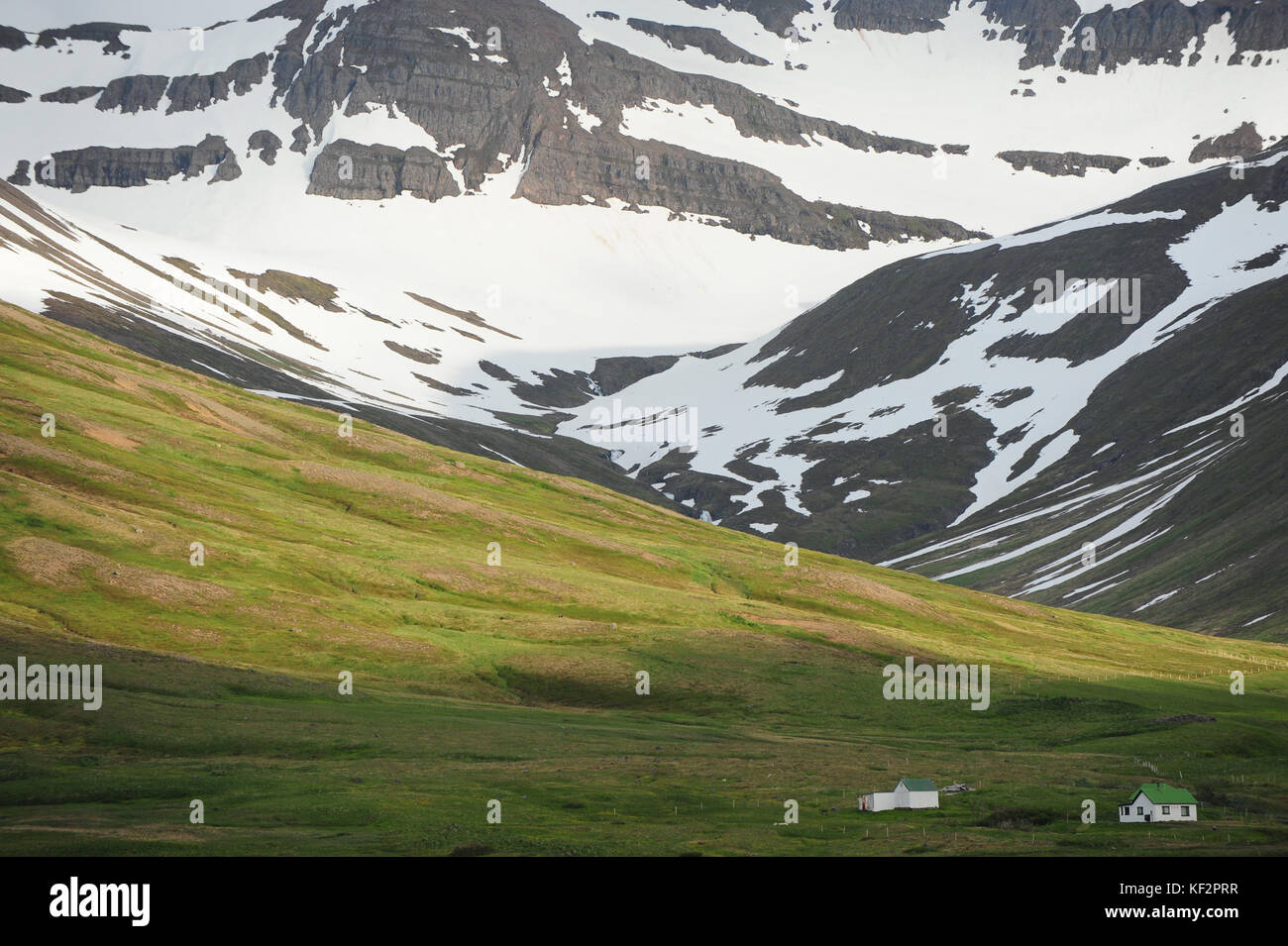View of Icelandic houses dwarfed by large snow covered mountains in background and green pastures in sunshine, Siglufjordur, North Iceland Stock Photo