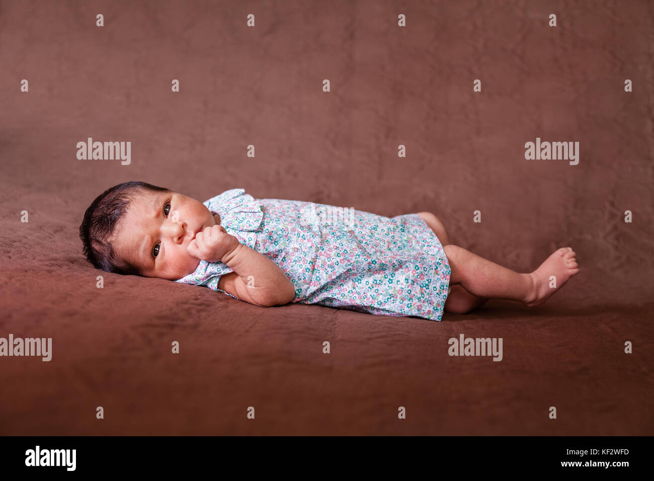 Cute two weeks old newborn baby girl lying down, eyes open and looking