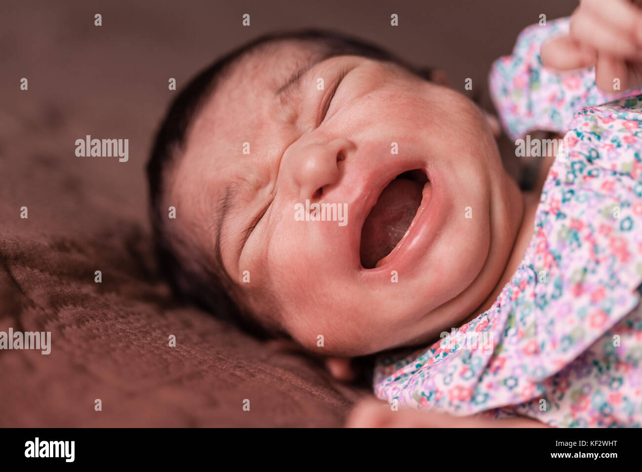 Close up portrait of an unhappy cute two weeks old newborn baby girl lying down and crying hard, with cramps or colic, bellyache, stomach pain colics Stock Photo