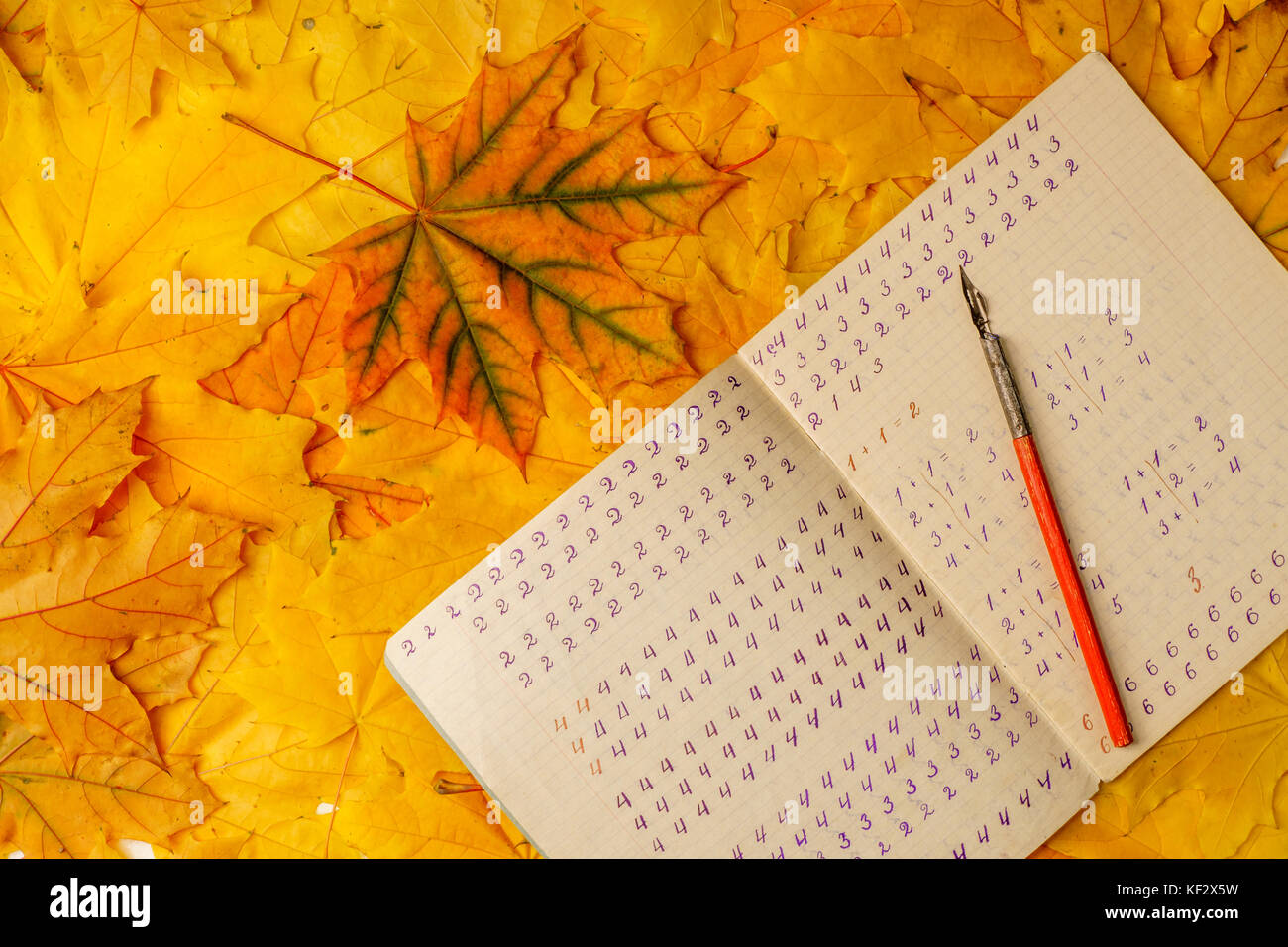 Old school exercise book with a wooden ink pen on a background of