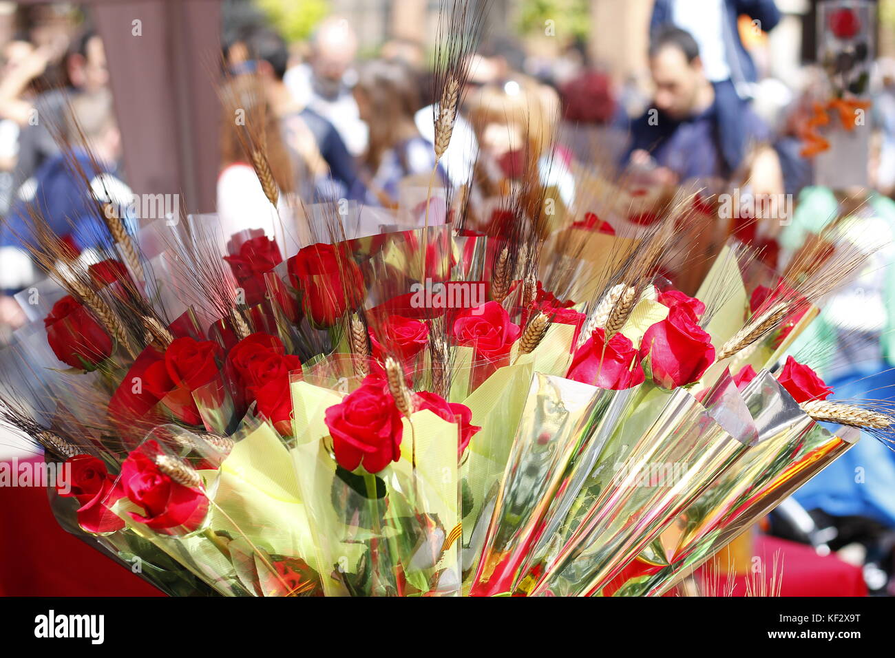 Roses In Sant Jordi Day Traditional Gift In Catalonia Spain Stock Photo Alamy