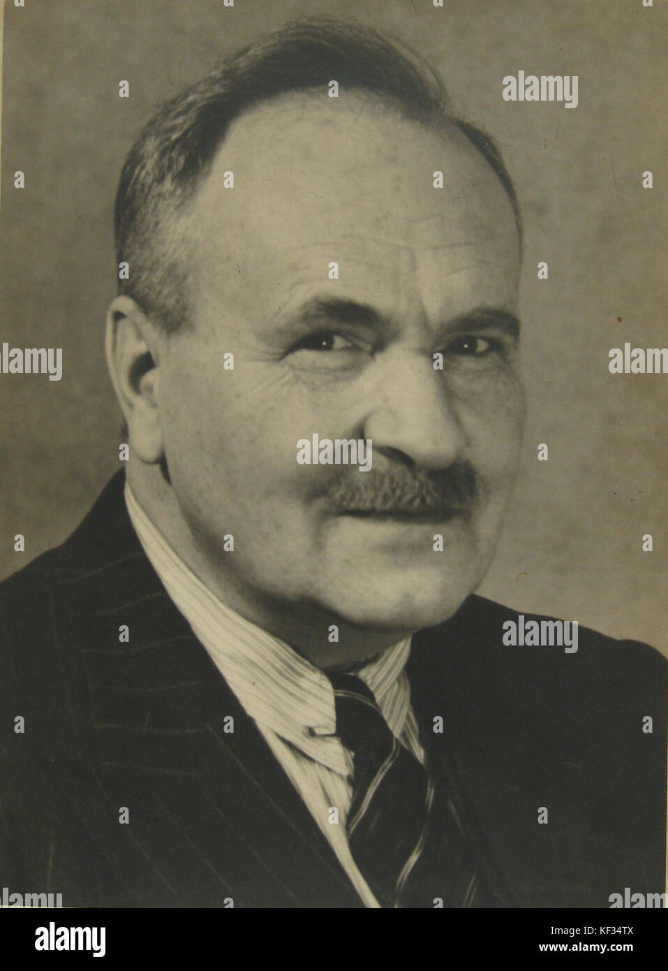 Portrait of Jan van Dijk (1882 1960 Stock Photo Alamy