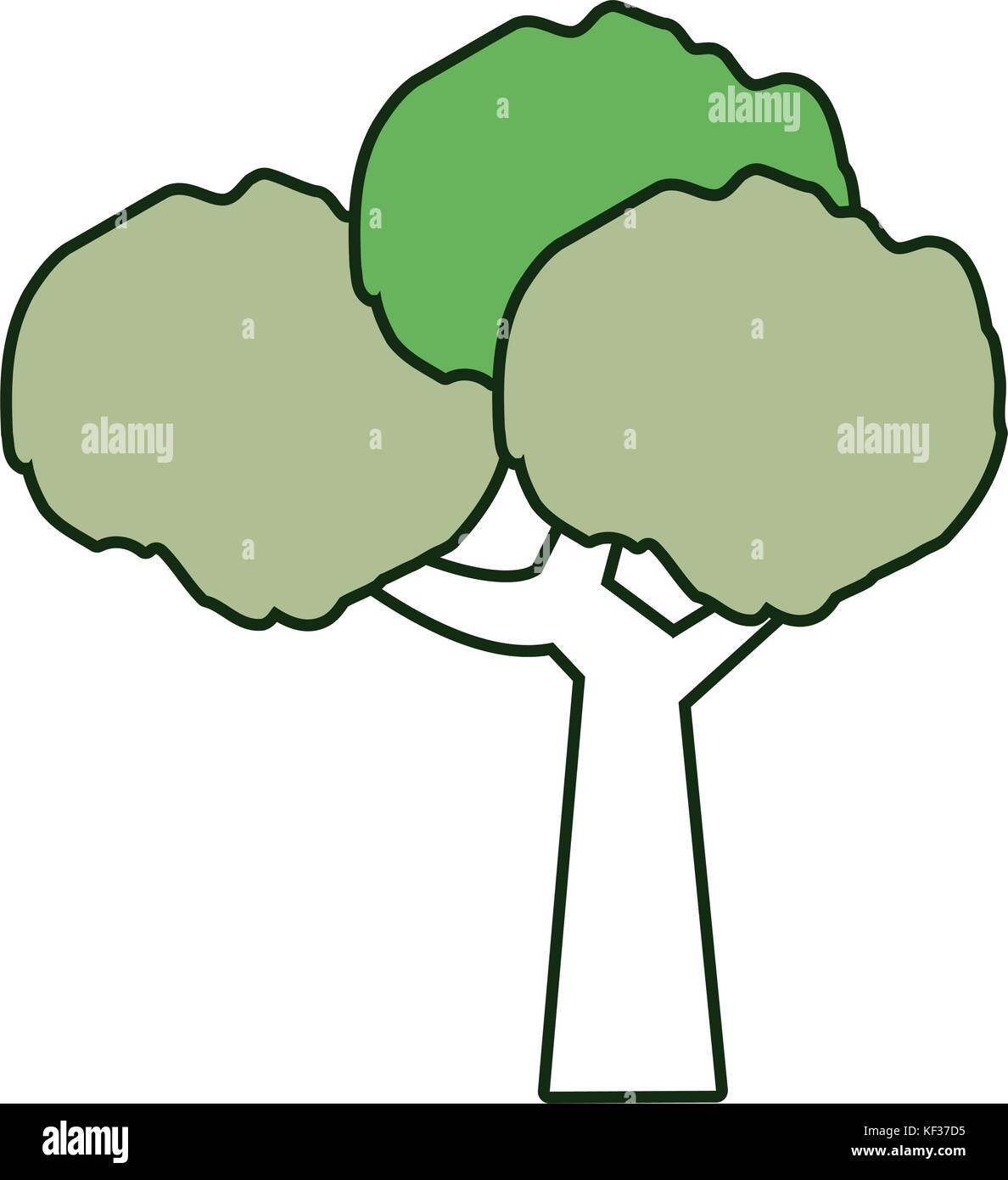 tree vector illustration Stock Vector Image & Art - Alamy