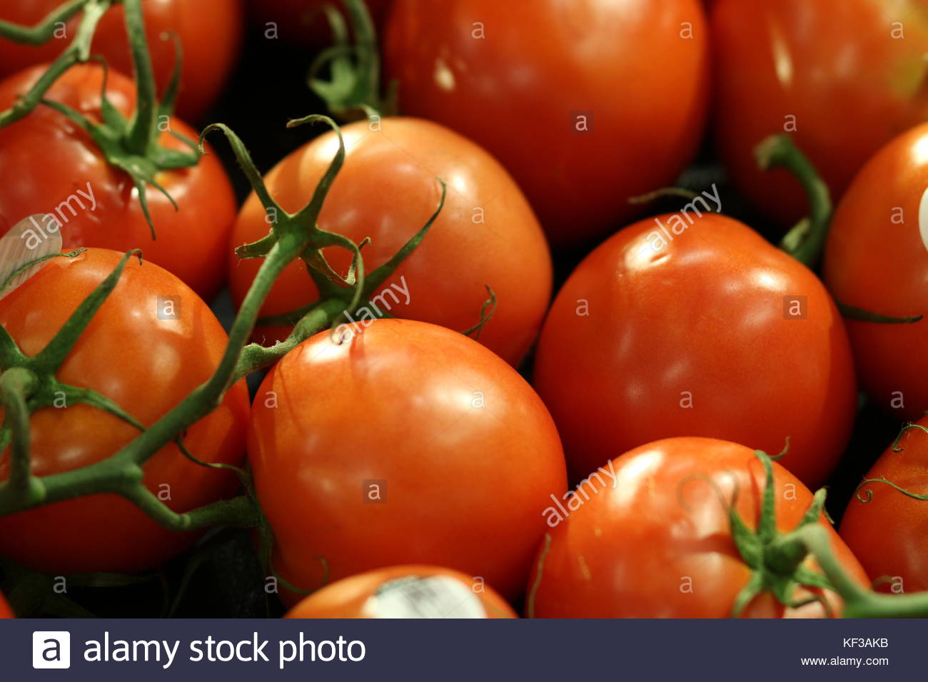 Tomatillo Plant Stock Photos & Tomatillo Plant Stock Images Alamy