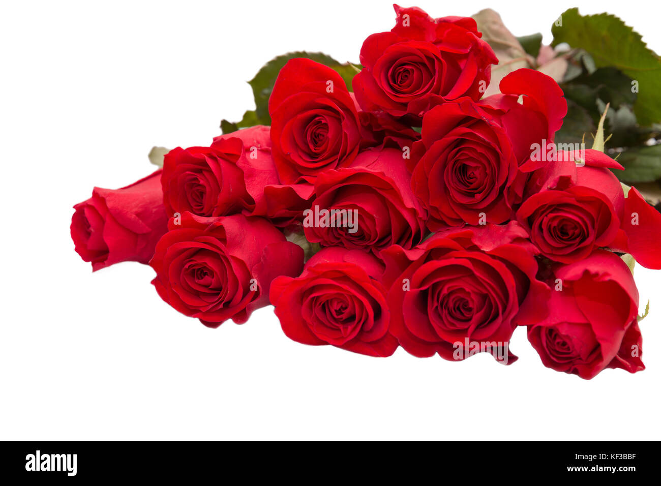 Bouquet of red roses on a white background Stock Photo - Alamy