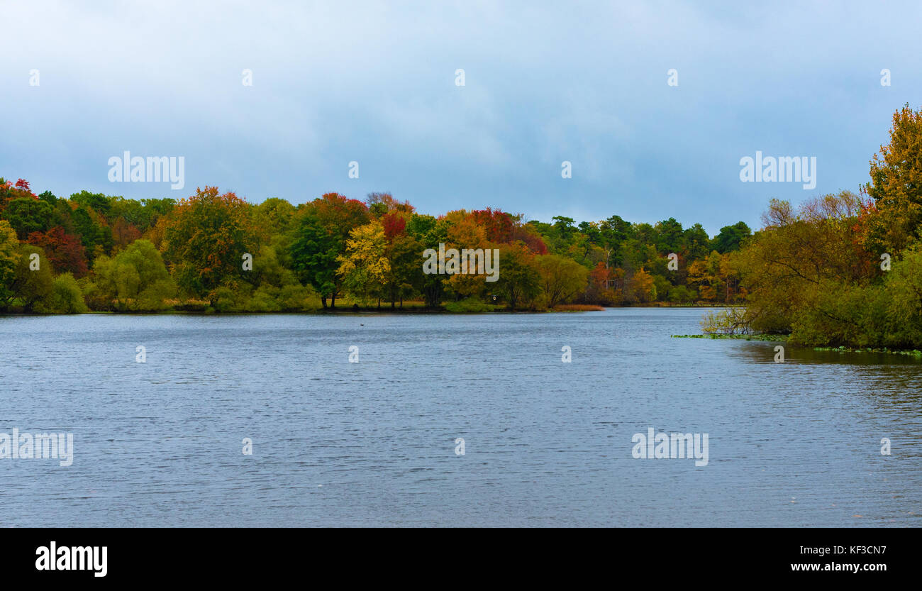 Trees with leaves turning colors in Autumn  line a lake. Stock Photo