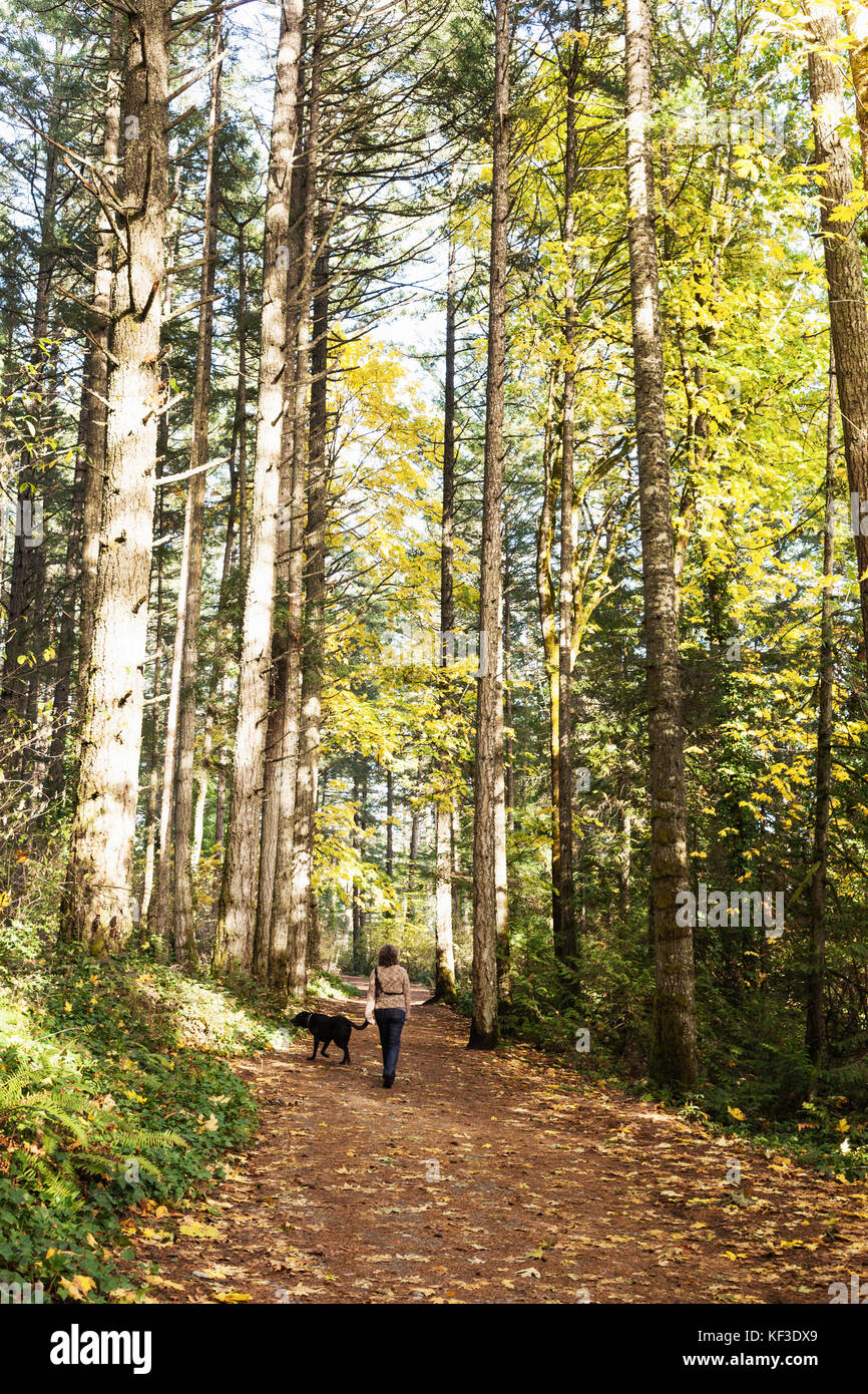 Woman walking her dog in nature. Elk Lake, Vancouver Island BC. Canada Stock Photo