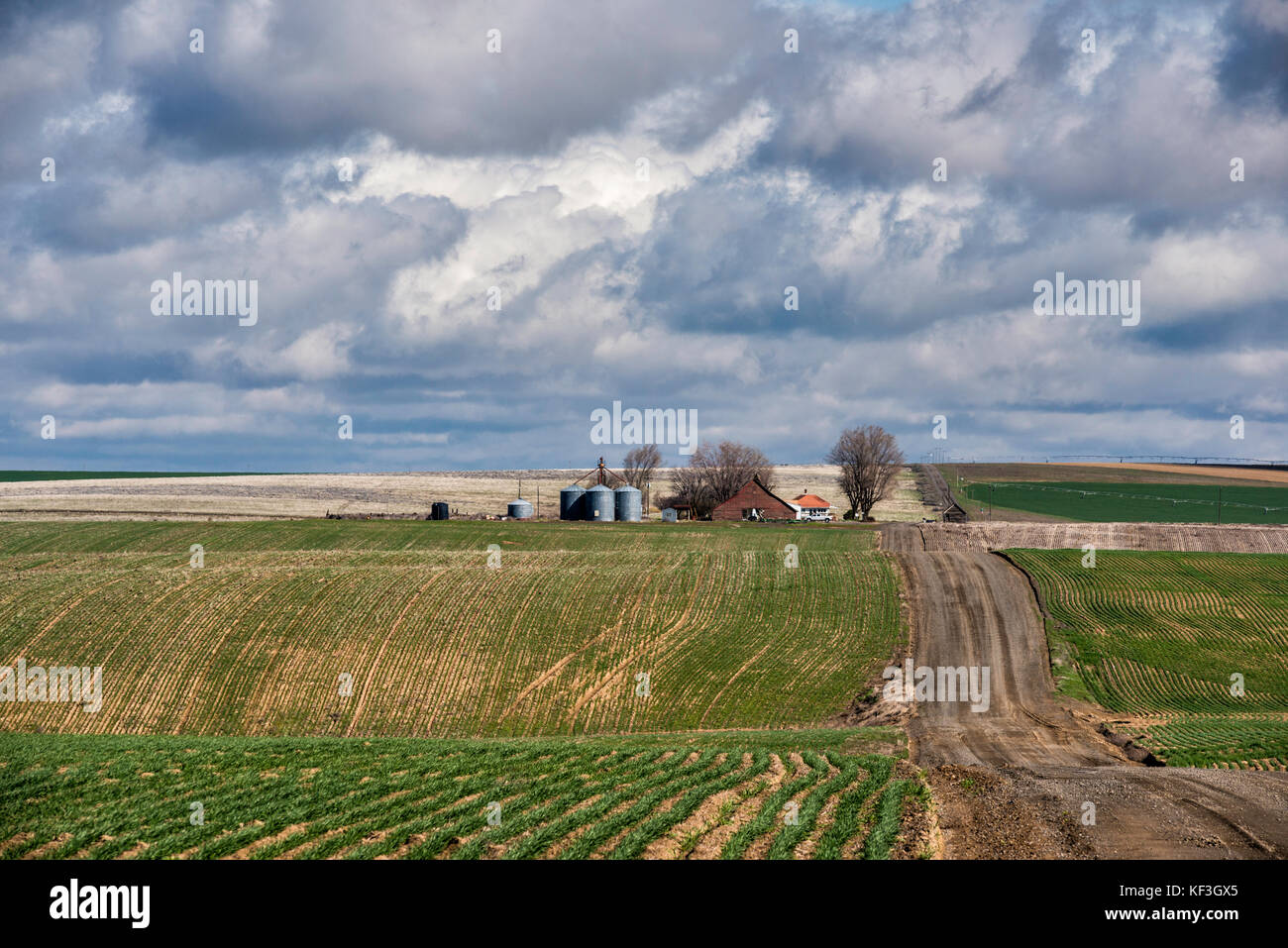 Cumulus clouds over prairie hires stock photography and images Alamy