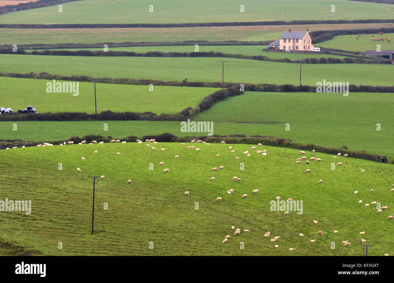 Green fields and meadows rolling hillsides and a farm in an idyllic