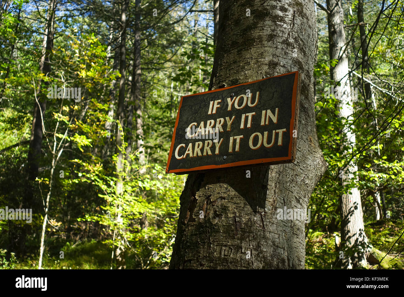 Sign saying 'if you carry it in carry it out'. take your garbage home, wooden sign on tree. Bushkill falls, USA. Stock Photo