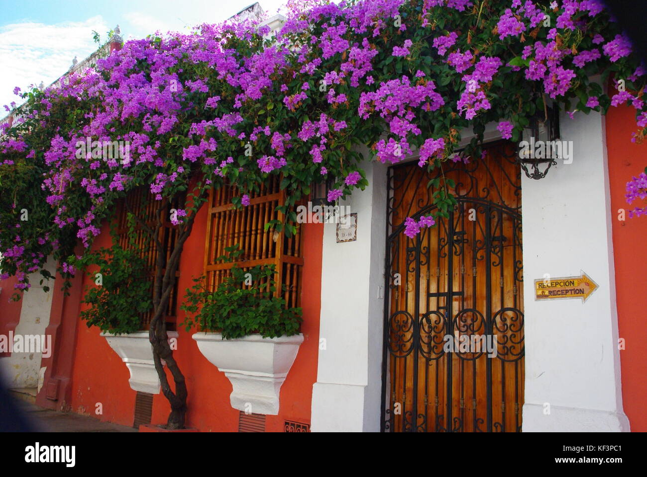 A Colourful House with Purple Flowers in Cartagena, Colombia Stock Photo