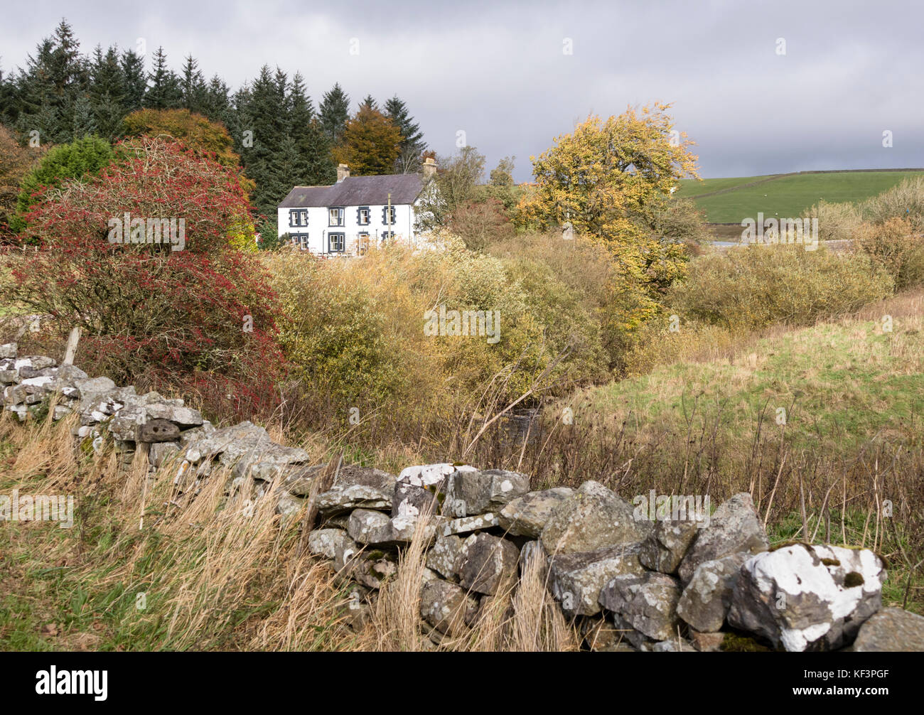 Autumn at Langdon Beck Hotel, Forest in Teesdale, Upper Teesdale, County Durham, England, UK Stock Photo