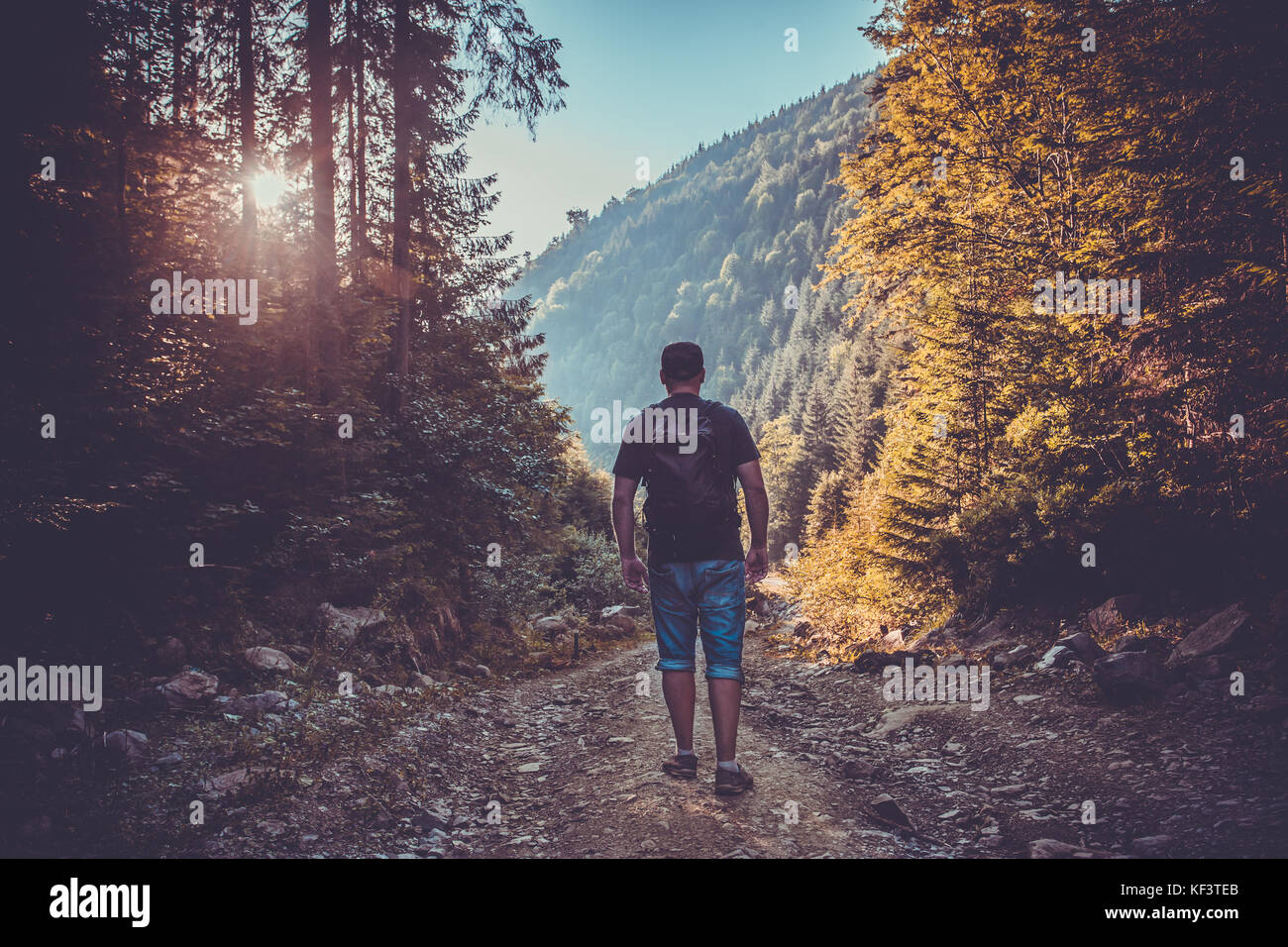 Man of the forest hi-res stock photography and images - Alamy