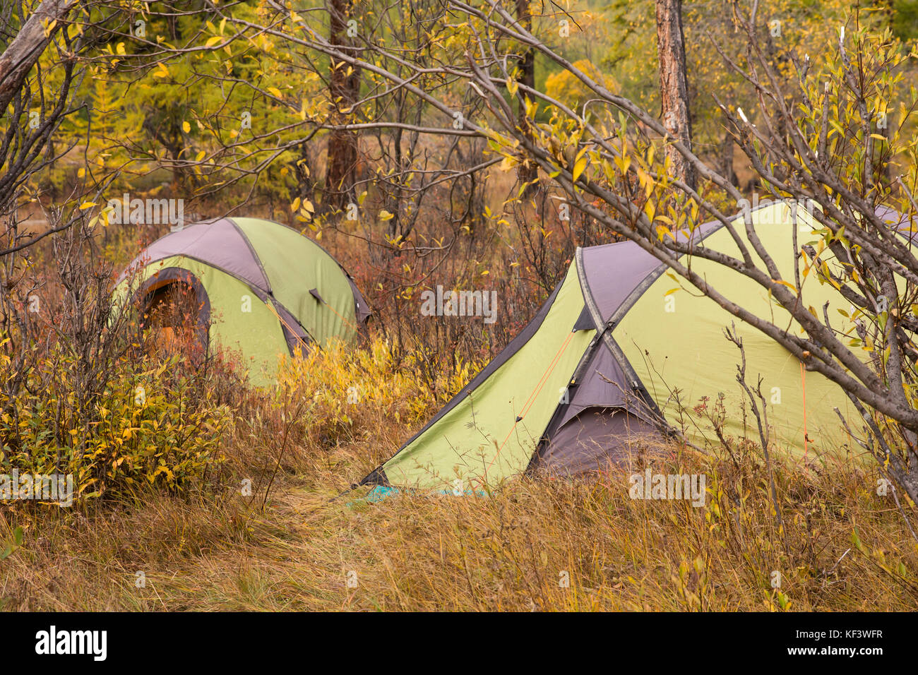 Campsite with green tents in an autumn forest. Khuvsgol, Mongolia. Stock Photo