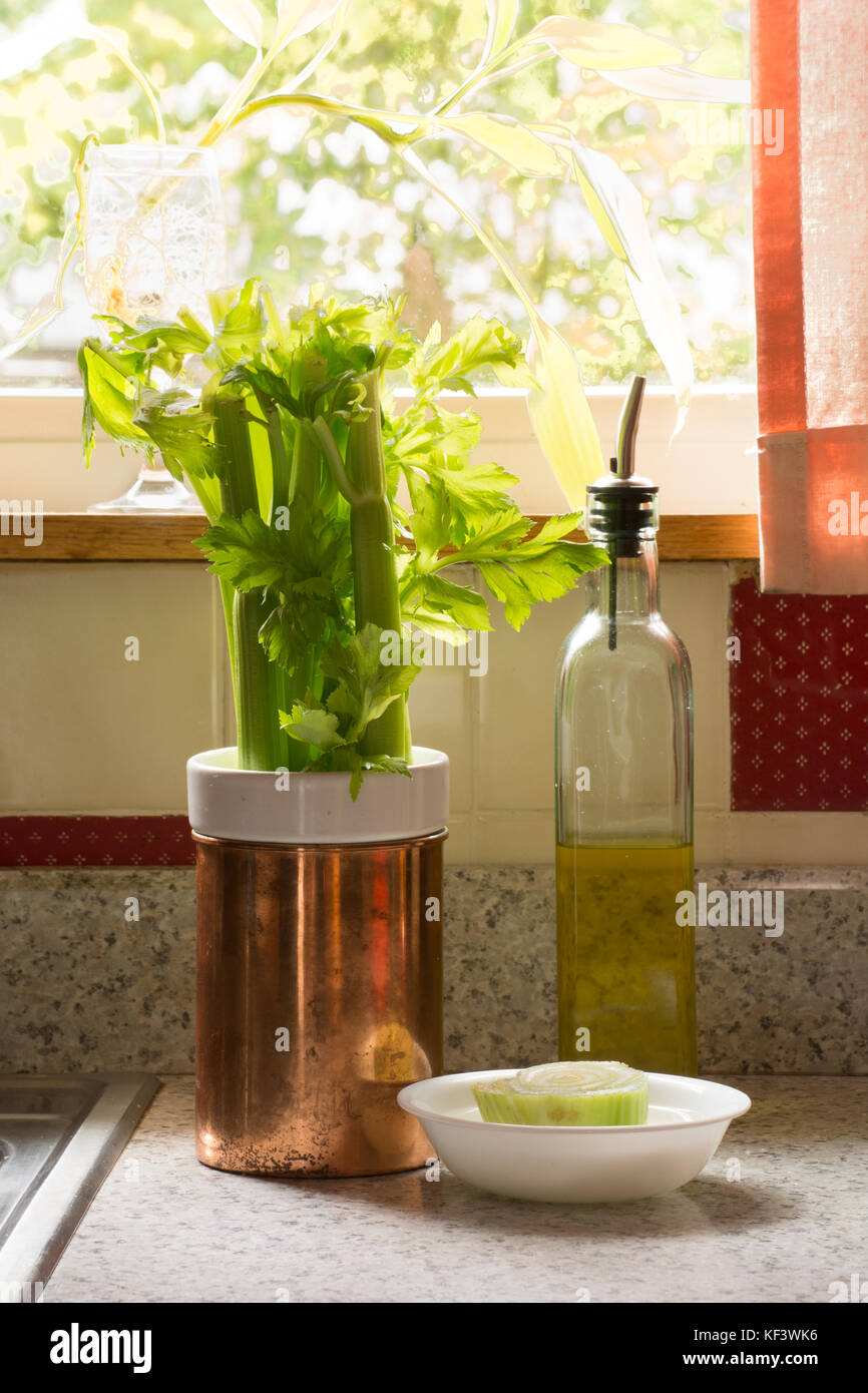 A stalk of celery in water on a kitchen counter Stock Photo Alamy