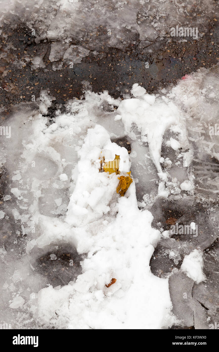 asphalt road melting snow leaves Stock Photo Alamy