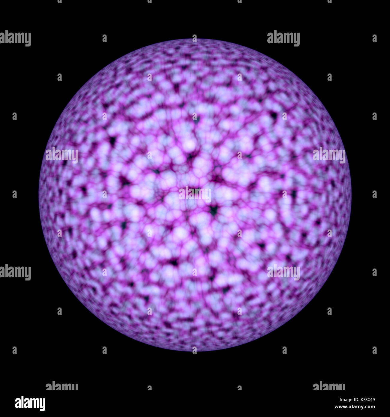 Science illustration: concept for medicine, technology, chemistry, communication, DNA, atom or neuron net. Purple sphere with definite pattern isolate Stock Photo