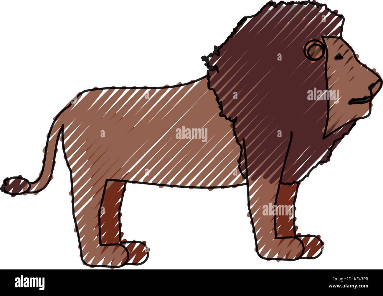 lion  vector illustration Stock Vector