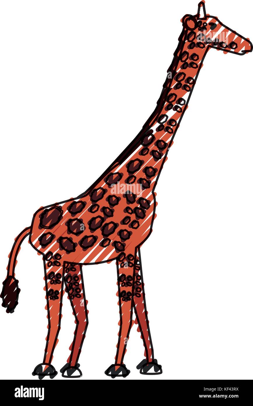 giraffe vector illustration Stock Vector Image & Art - Alamy