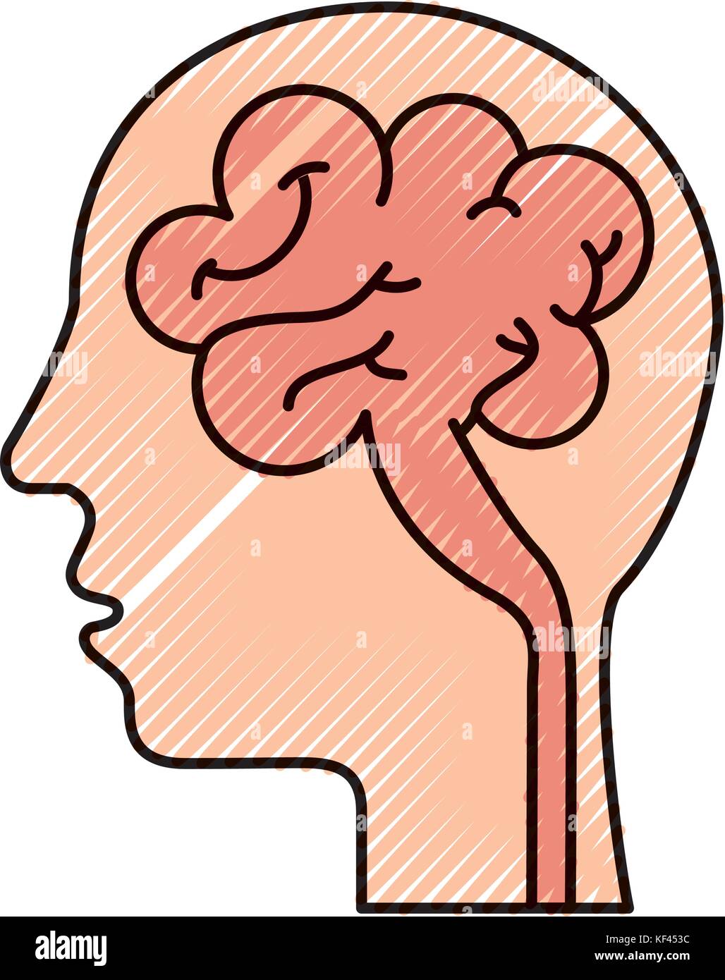 human head and brain icon mind concept Stock Vector Image & Art - Alamy