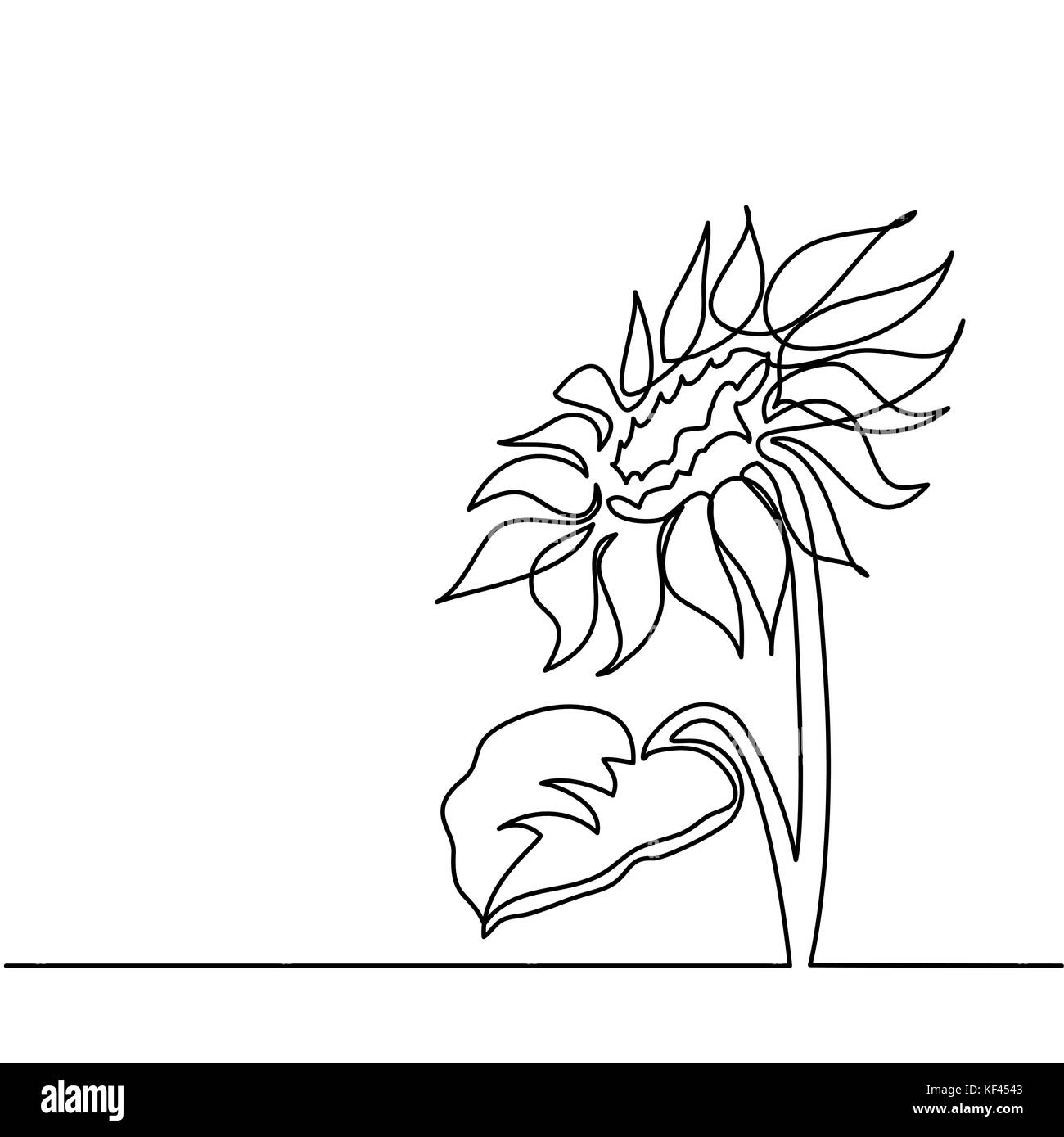 Sunflower line drawing accesoriifrizerie.ro