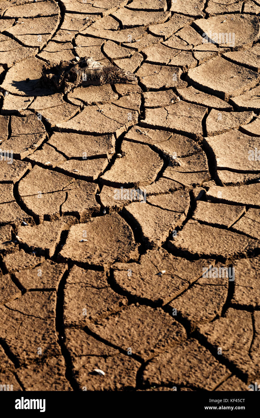 Cracks in drought affected earth Stock Photo Alamy
